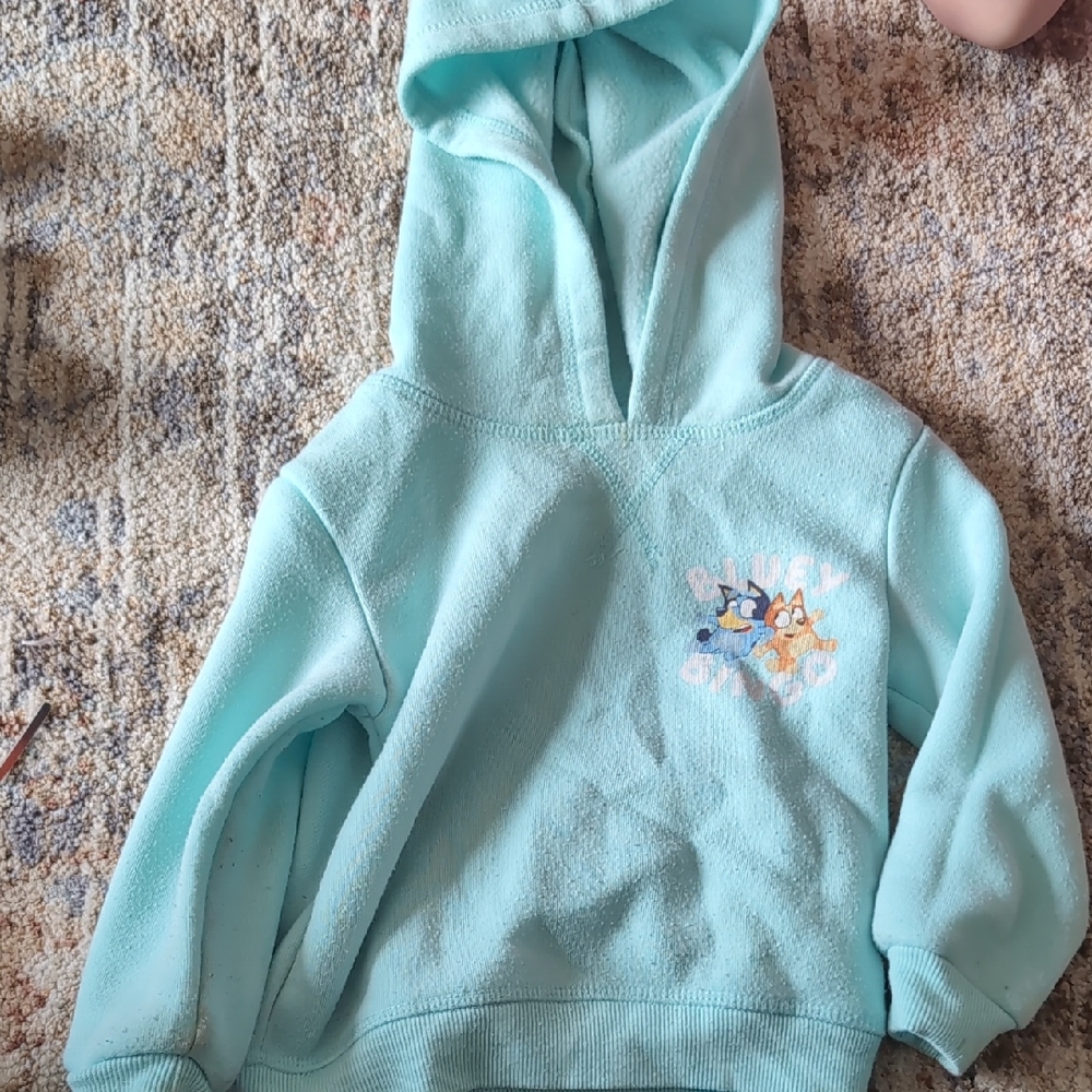 Kids Bluey Hoodie - Light Blue